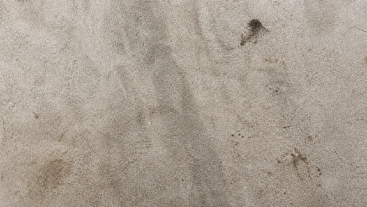Dirty carpet before professional cleaning